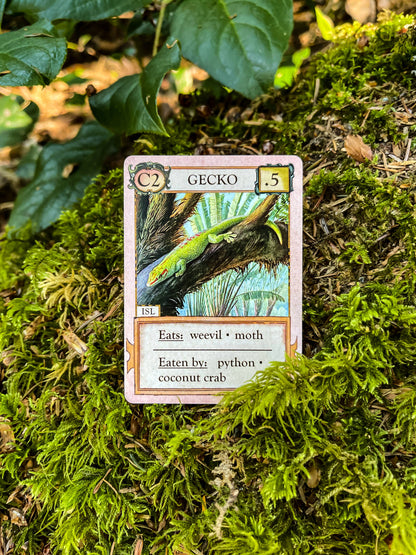 Montrose Biology - Ecologies: Hidden Habitats Card Game