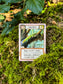 Montrose Biology - Ecologies: Hidden Habitats Card Game
