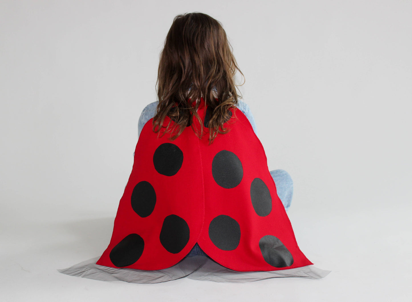 Ladybug Costume Wings