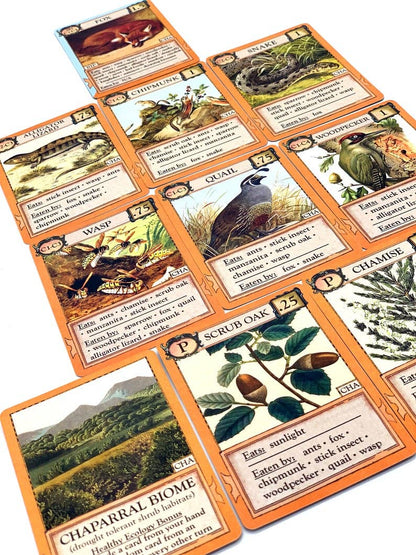 Montrose Biology - Ecologies: Bizarre Biomes