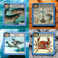 Montrose Biology - Ecologies Junior: Ocean