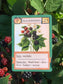 Montrose Biology - Ecologies Card Game