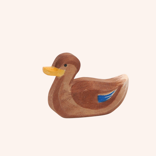 Duck Swimming