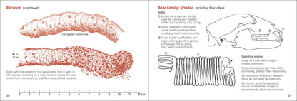 Scat Finder