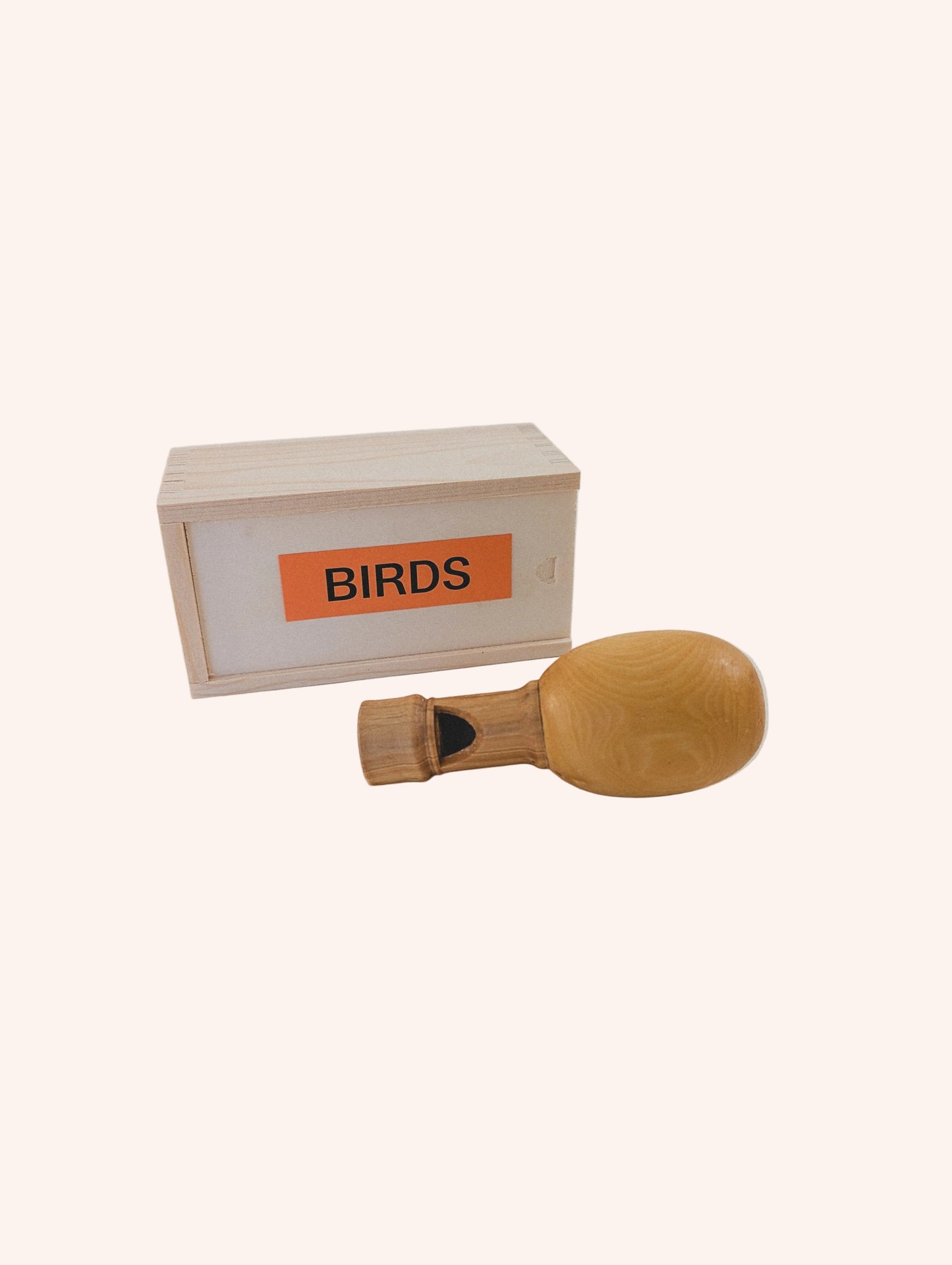 Black Billed Cuckoo Bird Call
