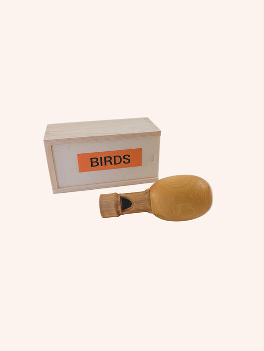 Black Billed Cuckoo Bird Call