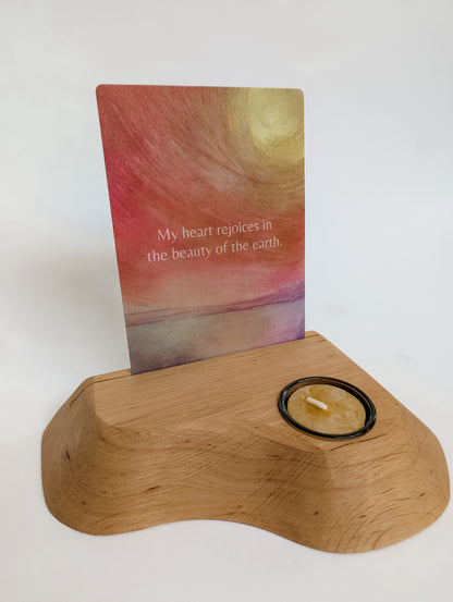 Wild Encouragement Cards - 52 weeks of inspiration