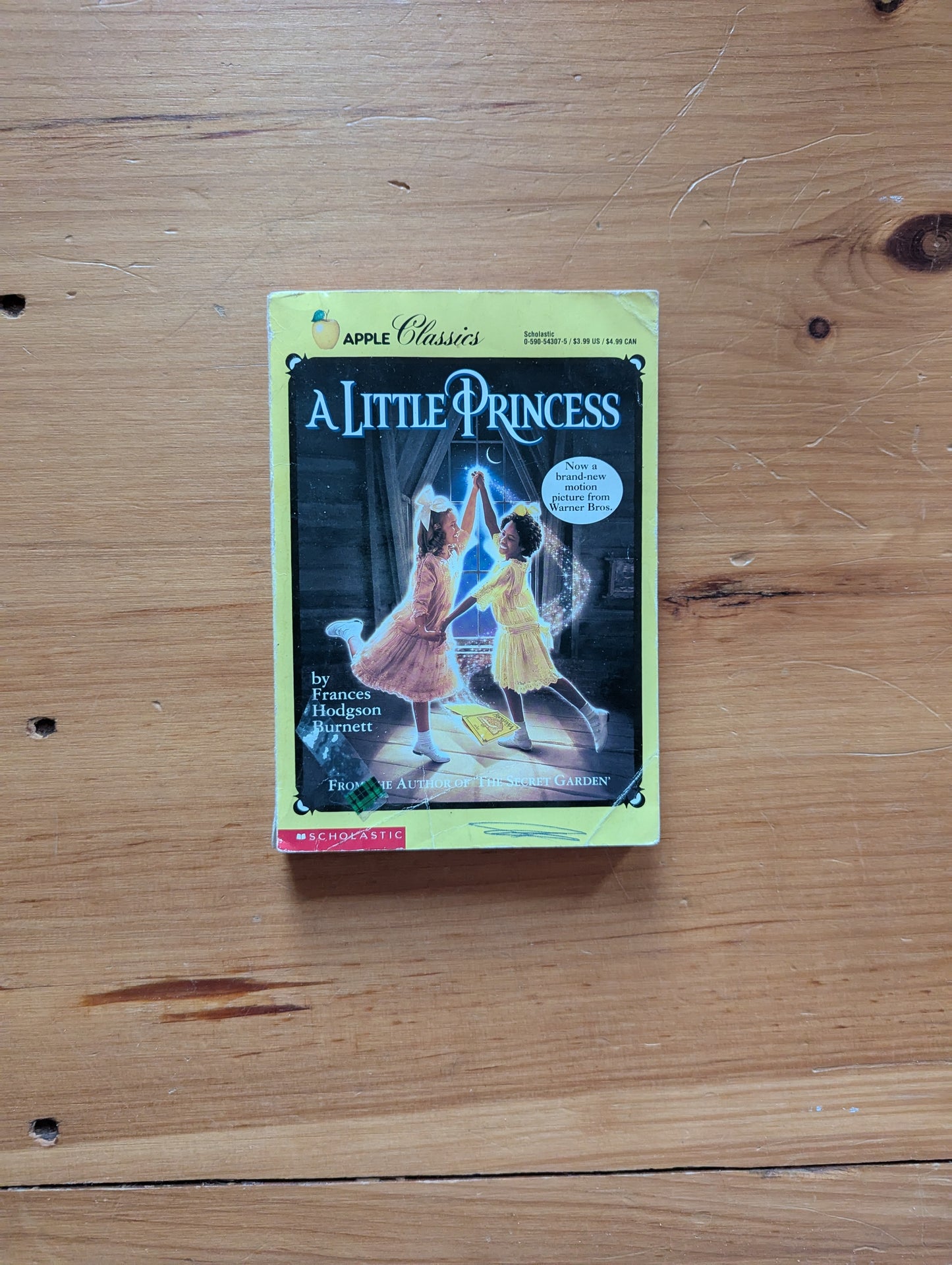 A Little Princess by Frances Hodgson Burnett