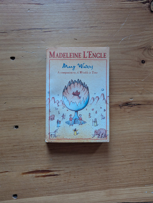 Many Waters by Madeleine L'Engle