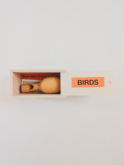 Black Billed Cuckoo Bird Call