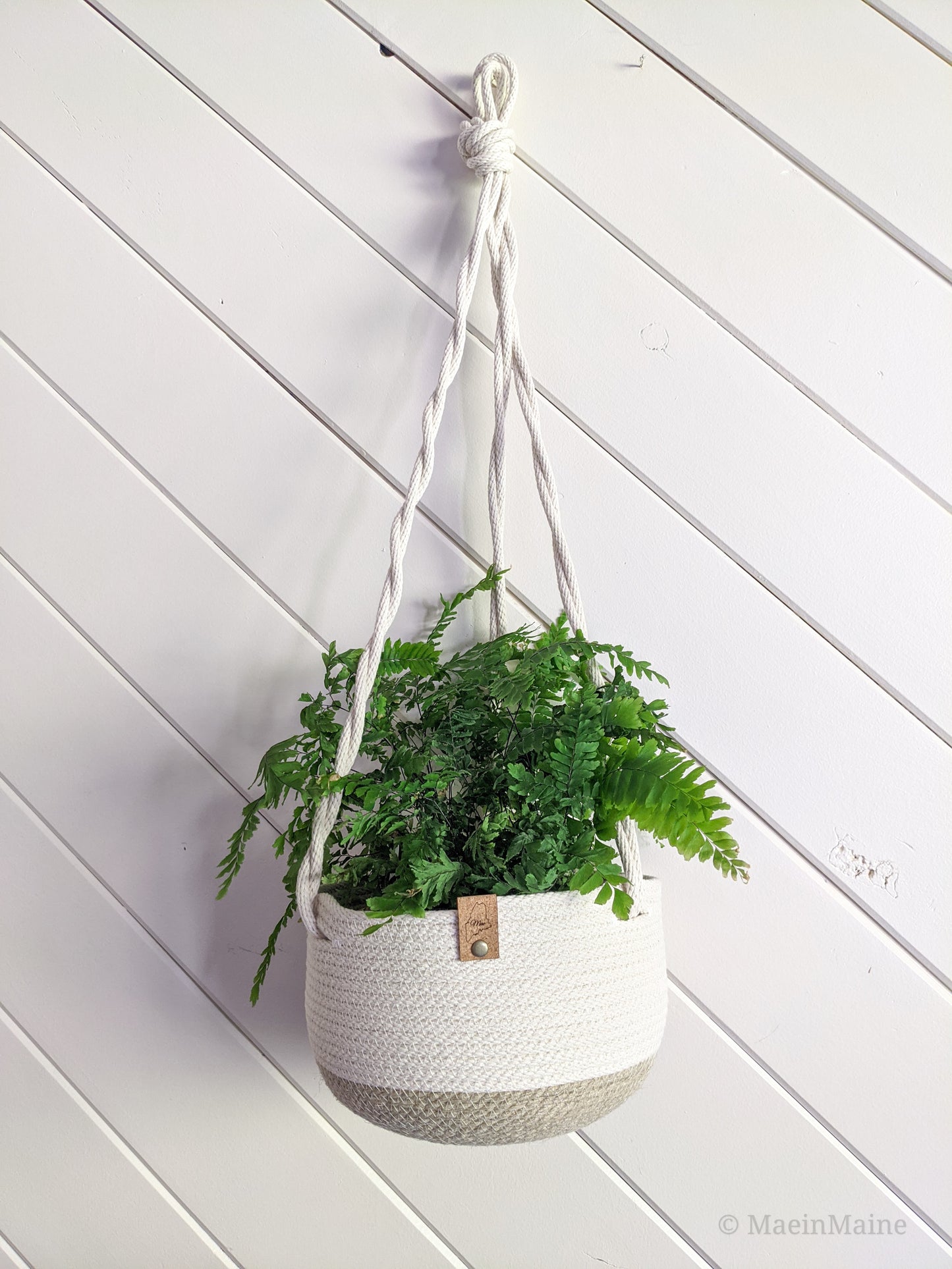 Brier - Hanging Planter
