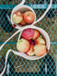 Evergreen - Foraging Basket